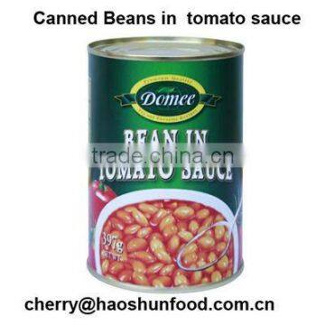 Canned Baked Beans in Tomato Sauce