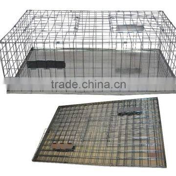 high quality collapsible continuous	trap to catch bird