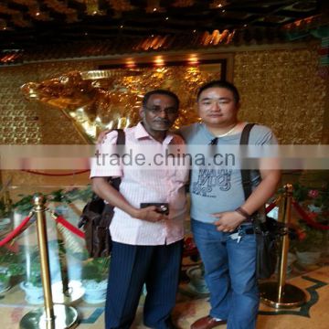 Model SBH Series 3D Swinging Mixer photo-4