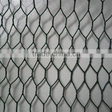Green Pvc Coated Chicken Wire Mesh photo-3