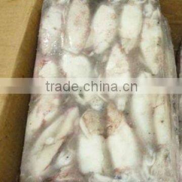 FROZEN LOLIGO SQUID WHOLE FROM PAKISTAN