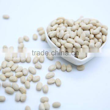 White Kidney Beans (Japanese Type) photo-6