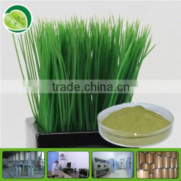 Top quality wheat grass powder for juicer