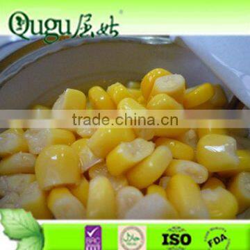 cheap price sweet corn, canned sweet corn factory, wholesale canned sweet corn