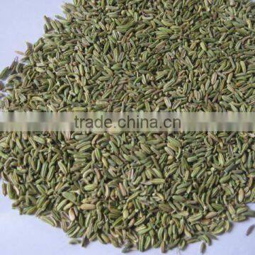 Fennel Seed