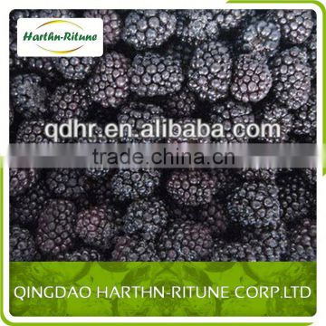 Best Price Fresh Blackberry Fruit