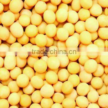 Grain Cleaning Machine/soybean Washing Machine photo-5