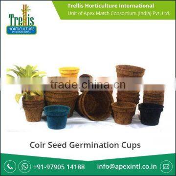 Leading Exporter Selling High Grade Germination Cups at Discounted Rate