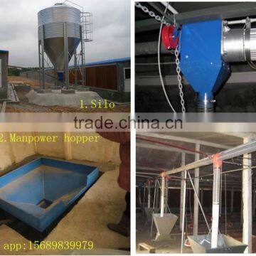 Chicken Main Feeding System for Poultry Shed photo-4