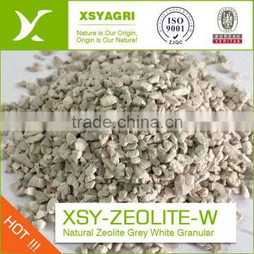 Granular Zeolite for Water Treatment