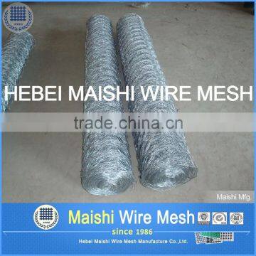 Hebei Factory Galvanized Chicken Wire photo-2