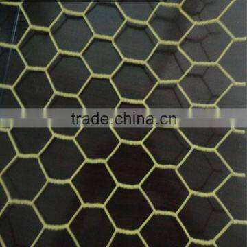 Competitive Price for Hexagonal Wire Mesh