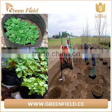 1/2/3/5/7/10/15/20/25/30 Gallon Non Woven Fabric Pot Plant Grow Bags photo-5
