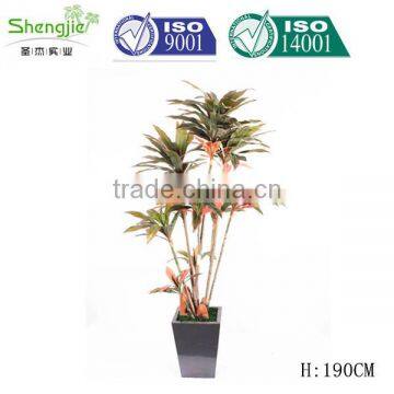 China, Guangdong Artificial Decor Bonsai for Sale photo-5