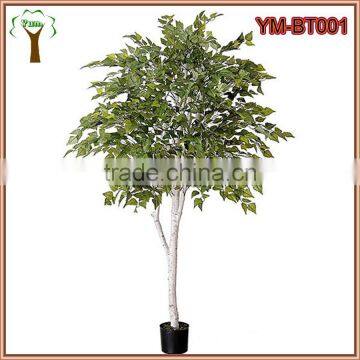 Artificial Birch Tree for Hotel Lobby Decor photo-3
