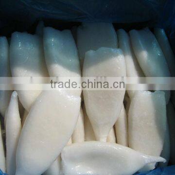 Frozen Squid Tubes Seafood Aquatic Products