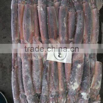 150-200g Frozen Illex Squid photo-4