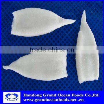 Frozen Squid for Sale photo-2