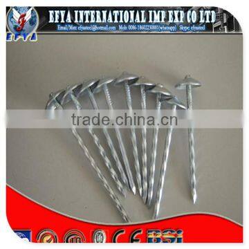 Smooth & twisted shank roofing nails
