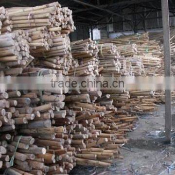 Raw Rattan Cane, Rattan, Cane, Rattan Meterial, Raw Material, Rattah Raw Mateiral, Rattan Cane photo-5