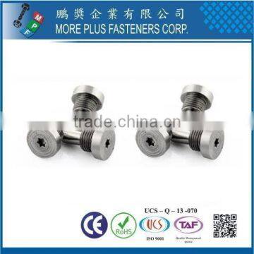 Taiwan Stainless Steel 18-8 Chrome Plated Steel Nickel Plated Steel Copper Brass Special Rivet and Screw photo-3