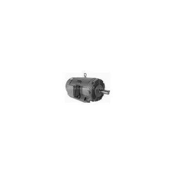 WorldWide Industrial Duty Three-Phase Motors photo-3
