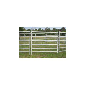 Metal Pipe Oval Rails Portable Cattle Yard Panel