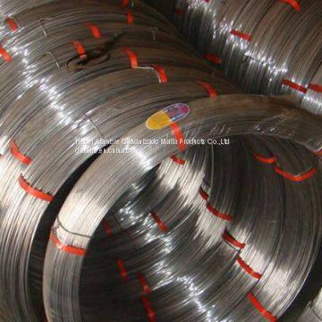 Electro Galvanized Iron Wire photo-3