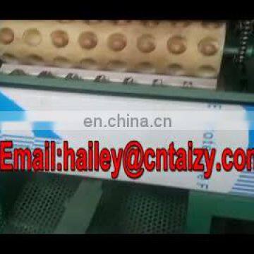 Taizy macadamia nuts shell cutting machine /industrial Macadamia nuts cracking machine