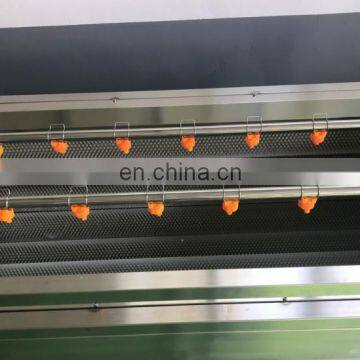 Brush Type Cleaning Peeling Machine/Potato Peeling Machine for Sale photo-4