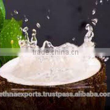 Fresh organic coconut with packaging in india
