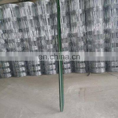 Hot Dipped Galvanized Fixed Knot Field Fence/Cattle Fence/Sheep Fence From XINHAI Company