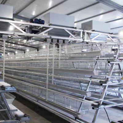 Poultry Farming Equipment Automatic Chicken Battery Cage photo-2