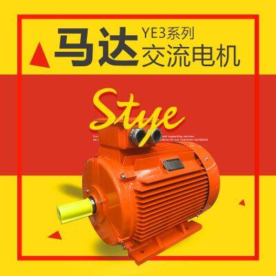 YE3 Series Low-Voltage Motor AC MOTOR