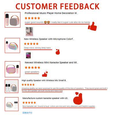 2024 New Portable Mini Kids Bluetooth Karaoke Rechargeable Speaker Sound Box With Wireless Mic for Stage Performance photo-5