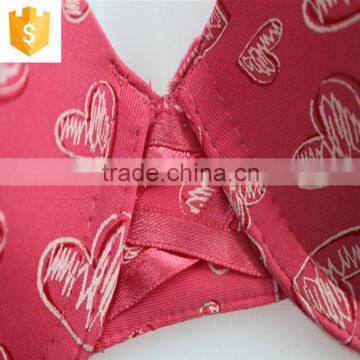The Hot Personality Love Pink Bra Photo photo-5
