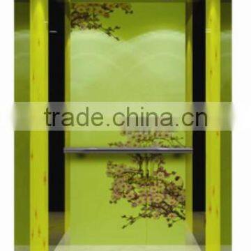 3,4,5 Persons, Small, Comfortable and Luxurious Passenger Elevator photo-2