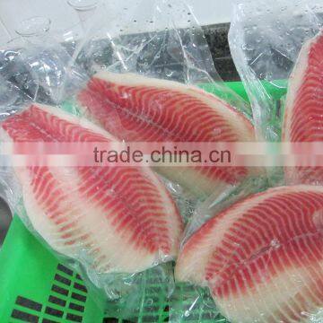 Frozen Fish Fillet Talapia Supplier