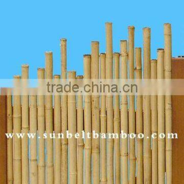 Bamboo fence Sun-006