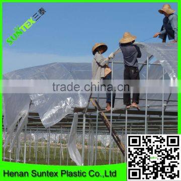 Suntex virgin HDPE clear protective horticulture roof film