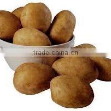 Indian potatoes