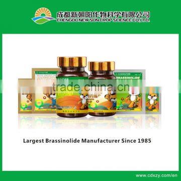 Natural Brassinolide manufacturer 0.01%SP, 0.0075%SL, 0.1%, 0.2%, 2%, 60-90%TC                        
                                                Quality Choice