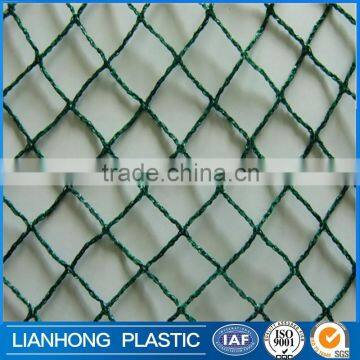 Bird Net Manufacturers, Bird Protection Nets From Factory, Orchard and Agriculture Use Anti Bir Nets photo-3