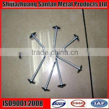 Sell zinc coating roofing nail