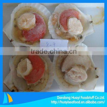 Frozen 10-12cm scallop