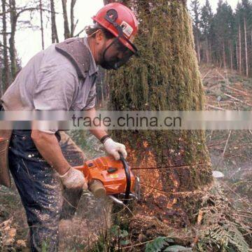 Wood Drying Kiln, Wood Treatment Machine photo-4