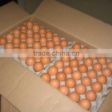 Fresh Chicken Hatching Eggs