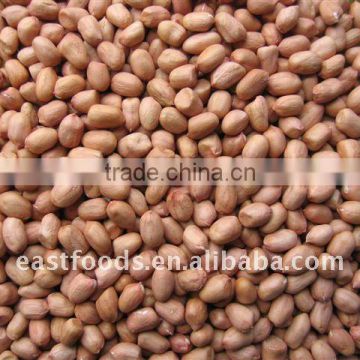 Round type peanut kernel 50/60