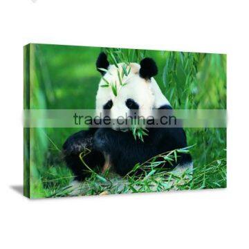Color Panda Animal Decor Printed Canvas Art For Livingroom DWYS77