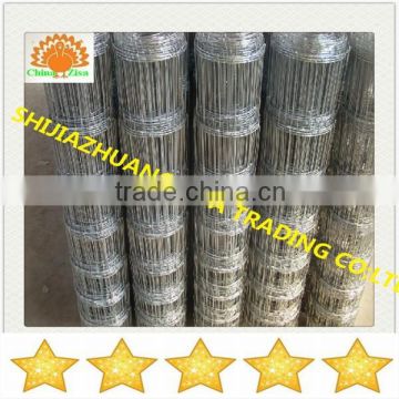 steel wire cattle fence , horse fence,field fenceing for sale